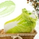 thumbnail image 4 of 26cm Cute Japanese Vegetable Dog Plush Toys Creative Chinese Cabbage Afortunado Sencillez, 4 of 5