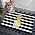 thumbnail image 3 of Entryway Rug 2'x3', Pineapple Small Rug for Kitchen Bathroom Door Mat Indoor Entrance, Modern Abstract Fruits Black White Stripe Non-Slip Area Rugs Floor Mats Carpet Front Door Rugs, 3 of 8