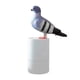 thumbnail image 1 of Dispensador De Jabón Espumoso Reutilizable Con Forma De Pájaro Azul Para, 1 of 7