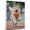 Akita, variant on Barbet Cute Dog Running Stretched Canvas Size 8x12 – Retro Barbet Dog Batter in Action With Running for Themed Living Room