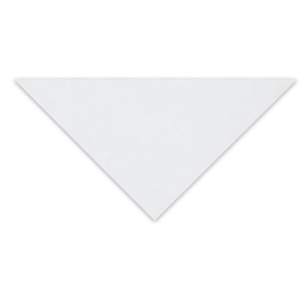 Clairefontaine Pastelmat Sheet - 27-1/2" x 39-1/2", White, 1 Sheet