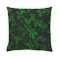 thumbnail image 2 of Ahgly Company Color Focus Green Indoor Throw Pillow, 18 inch by 18 inch, 2 of 6