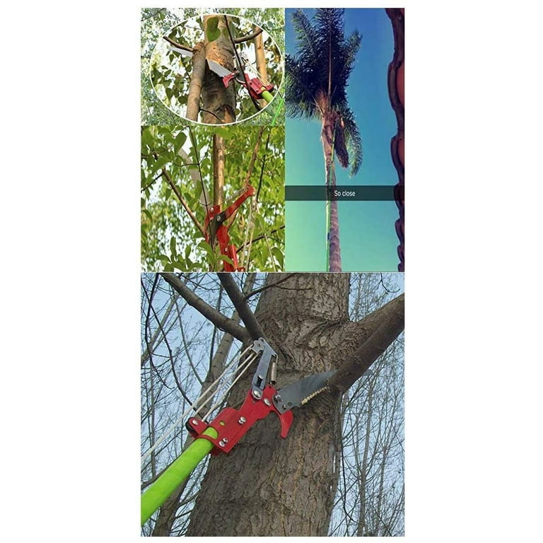 Branch pole cutter deals