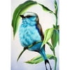 Powecrea Diamond Painting Humming Bird Full Round Resin Rhinestone Picture 30x40cm