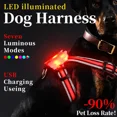 thumbnail image 3 of LED Dog Harness Pet Rechargeable Adjustable Flashing Waterproof Collar Night Anti-Lost Dog Light Harness Luminous Dog Collar (7 Colors,XXL), 3 of 6