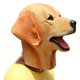 thumbnail image 2 of Máscara de perro labrador para Halloween, cosplay, fiesta temática de animales, 2 of 5