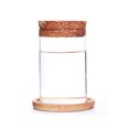 thumbnail image 1 of CreativeArrowy 1pcs Hydroponic Flower Pot Plant Vases Elegant Glass Bottle Wooden Cork Table Bonsai Home Living Room Decor, 1 of 12
