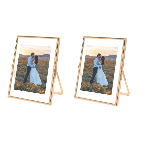 4X6 Picture Frame Set of 2, for Multiple Photo Sizes (4X6, 3X5, 2X3), Metal Glass Floating