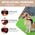 thumbnail image 4 of Arnés Pechera Con Correa Para Perro Razas Mediano Grande, 4 of 8