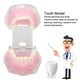 thumbnail image 5 of Modelo de diente de resina desmontable estudio estándar enseñanza implante modo dental para la práctica de enseñanza, 5 of 8