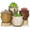 Marble, variant on Succulent Pots - 3.8 Inch Marble Plant Pot with Drainage Trays Set of 6, Small Ceramic Pots for Indoor Cactus Flower Plants Decorative Garden Home Office
