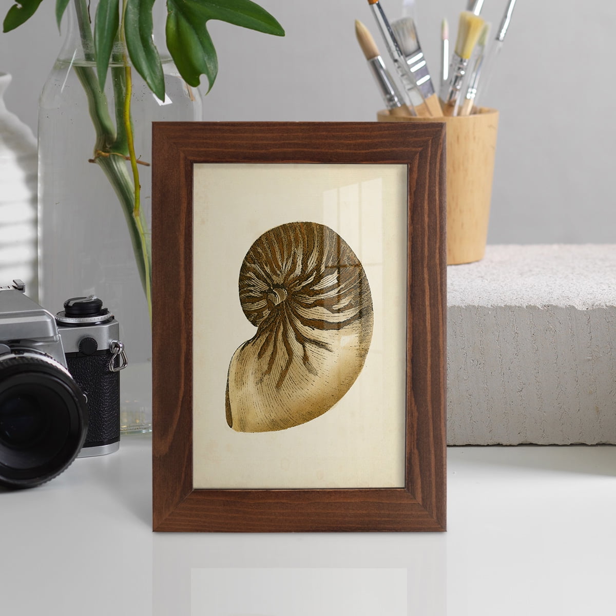 Sealife Collection V - Framed Print w/glass - Chestnut