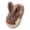 Coffee, variant on lnmuld Kids Slippers Cozy Cartoon Soft Sole Indoor Footwear for Toddler Girls and Boys Warm Kids Shoes Size:10