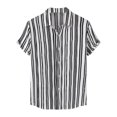 thumbnail image 1 of Blusa informal de manga corta con estampado de rayas y botones para la playa para hombre Pompotops  oipoqjl48333, 1 of 9