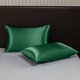 thumbnail image 1 of Paquete de 2 fundas de almohada para cuerpo de satén refrescante | Estuche largo de terciopelo suave y transpirable para durmientes calientes y sudores nocturnos | Comodidad para todas las, 1 of 6