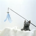 thumbnail image 2 of Shisuyan 2pcs Retractable Cat Teaser Wooden Handle Cat Teasing Stick Carbon Fiber Rods Cat Kitten Toy Teaser Stick (Blue + Pink), 2 of 8