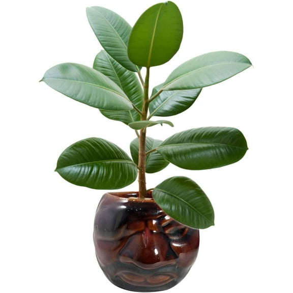 India Meets India Handicraft Ceramic Flower Pots Ceramic Planter Plant Pots Indoor Outdoor Planter, Best Gifting, Made by Awarded Indian Artisans