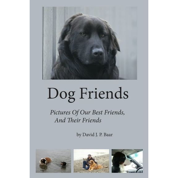 Dog Friends, (Paperback)