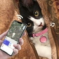 thumbnail image 3 of 2025 New Mini Bell Cat Tracker, Mini Tracker for Pet iOS & Android, Waterproof Cat Collar with Finder Tag, Cats GPS Tracker Collar(iOS，Blue), 3 of 5