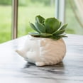 thumbnail image 5 of Kikkerland Design Hedgehog Home Mini Planter for Small Plants Flowers Succulents, White Porcelain, 5 of 5
