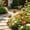 389#Red, variant on Weather Resistant Wrought Iron Garden Stake,solid metal stand against wind and rain impact,artistic shape enrich green space layered scenery,firm inserted base decorate courtyard flower bed landscape