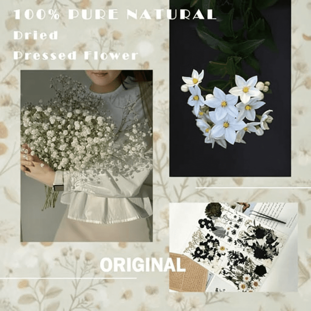 84-Piece Black Dried Pressed Flowers Bulk for Resin Molds, Natural Dry Floral for DIY Crafts, Epoxy Jewelry, Candle Soap Making, and Nails Phone Case Decor