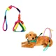 thumbnail image 1 of Conjunto Correa Y Arnés Para Perro Talla Mediana(3 Piezas), 1 of 6