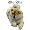thumbnail image 3 of CafePress - Chow Chow Dog Women's Light Pajamas - Women's Short Sleeve Print T-Shirt and Pants Light Cotton Pajama Set, 3 of 7