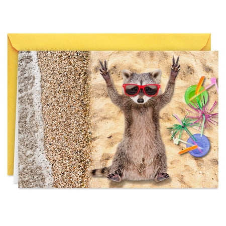 Hallmark Shoebox Funny Birthday Card (Celebrate Like a Trash Panda)