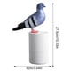 thumbnail image 2 of Dispensador De Jabón Para Pájaros Pigeons, Dispensador Automático De Jabón Para Manos, Lavamanos Automático Con Espuma De Inducción Sin Contacto, 2 of 8