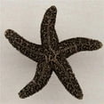 thumbnail image 1 of Acorn Manufacturing DPKAP Collection d'Artisans Bouton Naturel Étoile de Mer&44; Laiton Antique, 1 of 1