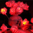 thumbnail image 2 of 1 Piece Luces con Cadena Rosa Flores Fairy para para Nupcias Luces para rojo, 2 of 6