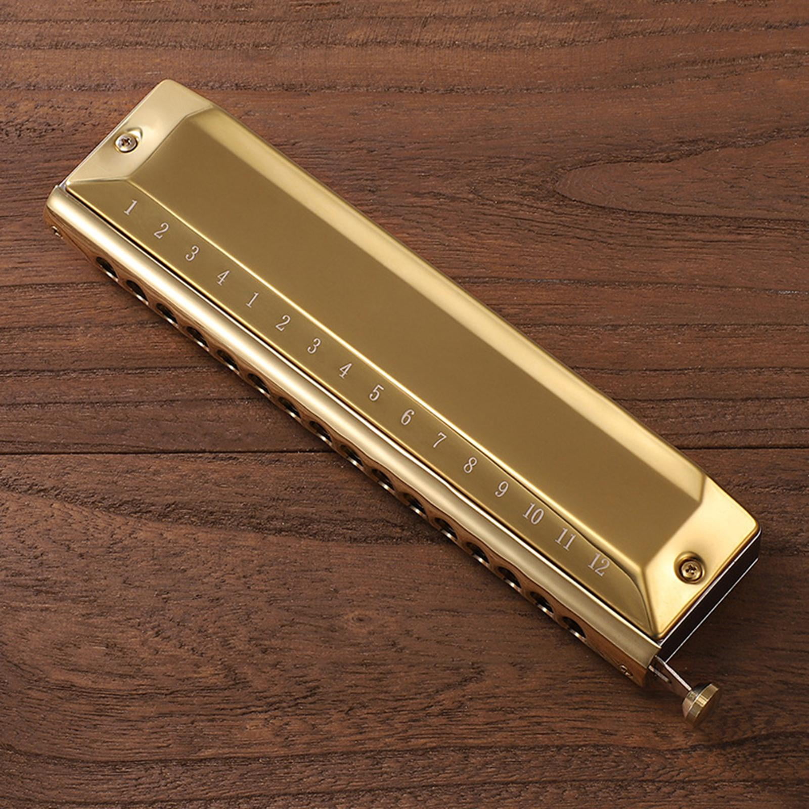 Yihuala 12 Holes 48 Tones Professional Chromatic Harmonica, Mouth Organ, Professional