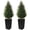 Black, variant on OLIVIVI Artificial Cedar Tree 4FT Tall Faux Silk Plant for Home Office Decor Indoor Outdoor Fake Lifelike Potted Tree with Wood Branches 2 pack