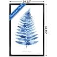 thumbnail image 3 of Jean Plout - Indigo Botanical Asoidium Angulare Wall Poster, 22.375" x 34" Framed, 3 of 6