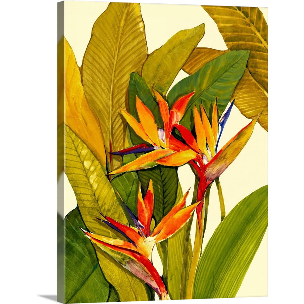 Great BIG Canvas "Tropical Bird of Paradise" Canvas Wall Art