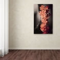 thumbnail image 3 of Trademark Fine Art "Soft Grey 2" Canvas Art by Philippe Sainte-Laudy, 3 of 3