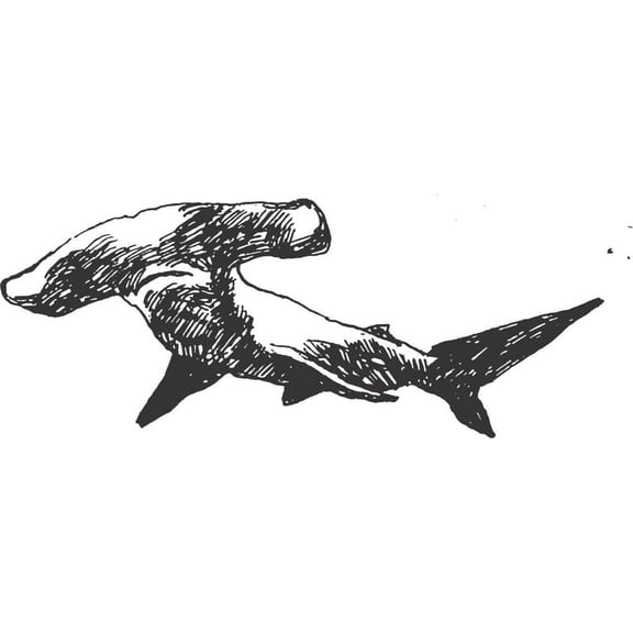 Living Room Art Shark Great White Tiger Hammer Head Water Ocean Fish Animal Boy Girl Children Kids 10x20"