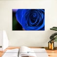 thumbnail image 3 of Elephant Stock Blue Rose Shrub Wall Art - Horizontal Canvas Wall Art - Living Room Wall Decor - Floral And Botanical Canvas - Blue And Green Decor - 12" x 8", 3 of 8