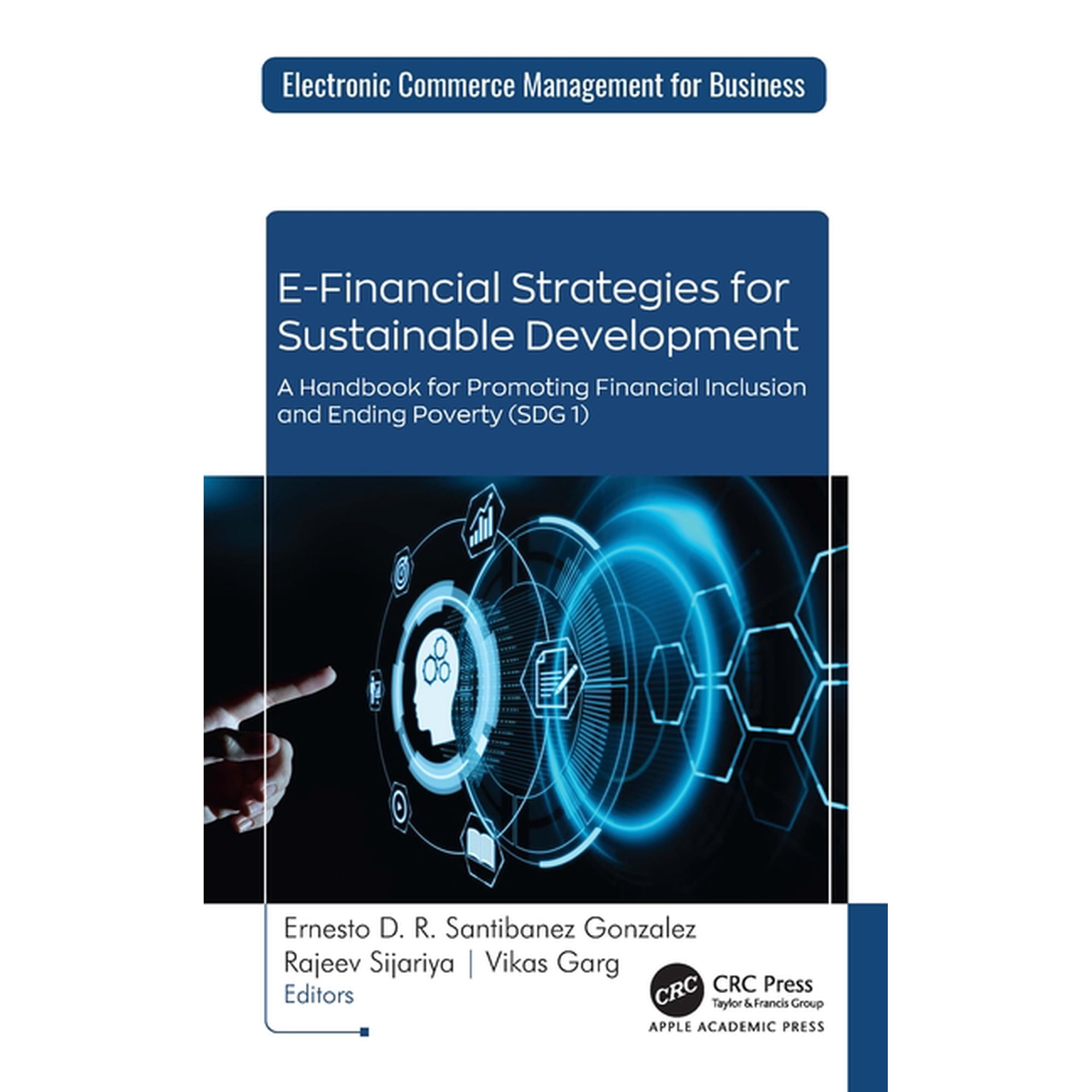Electronic Commerce Management for Busin E-Financial Strategies for Sustainable Development: A Handbook for Promoting Financial Inclusion and Ending Poverty (SDG, (Hardcover)
