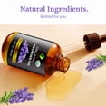 thumbnail image 3 of SVA Lavender Essential Oil Organic – 2 Fl Oz – 100% Natural Organic Lavender Oil - for Diffuser, Hair, Face, Skin Care, Aromatherapy, Scalp and Body Massage, Soap and Candle Making - with Dropper, 3 of 8