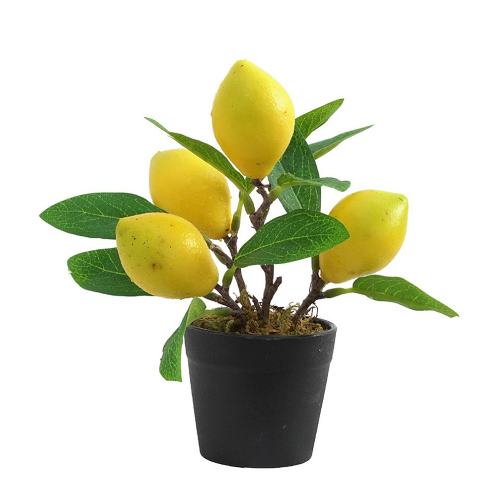 Lot De 2 Citronniers Artificiels En Pot 24,5 Cm - Petit Bonsaï Citron Jaune Avec Pot Blanc - Arbre Fruitier Pour Cuisine Et Maison LEMCC
