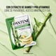 thumbnail image 4 of Tratamiento Intensivo Pantene Control Caída 27 ml, 4 of 5