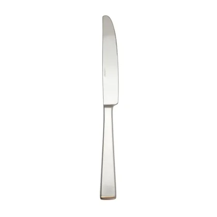 Oneida Satin Lewin Dinner Knife