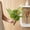 🔥 Green A_New, variant on TTJ Gifts Decontamination Cleaning Brush Set With Handle Carbide Scrub Sponge Rust Eraser Kit BBQ Grill Magic Sponge Pack Includes Microfiber Towel Heavy-Duty Kitchen Cleaning Tools