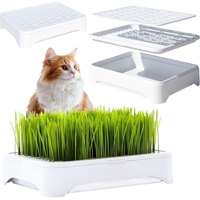 EASTIN 2-Pack Cat Grass Planter (No Seeds Included) Tri-Section Design Anti-Pull Out Cat Grass Seed Starter Tray Sprouts Growing Kit Microgreens Growing Trays