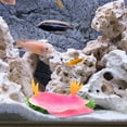 thumbnail image 4 of unbranded Figurita Decorativa Fluorescente Marina Rosa En Plástico Para Paisaje De Acuario, 4 of 6