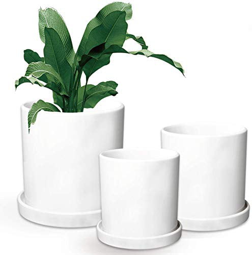 White Ceramic Round Flower Pots with Saucer 5 Inch Succulent Pots with Drinage Brajttt Plant Pots Indoor & Outdoor Graden Pots,（4 Pack） Cactus Planters with Hole