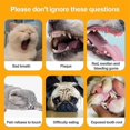 thumbnail image 4 of Dog Toothbrush, Pet Silicone Toothbrush Cat Tooth Brushing Kit, 360 Doggie Kitten Toothbrush Tongue Cleaning Brush For Small Pets Ferret Dutch Pigs Ba, 4 of 5