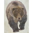 thumbnail image 3 of Curinga, Kim 15x18 Black Modern Framed Museum Art Print Titled - Brown Bear Walking, 3 of 5